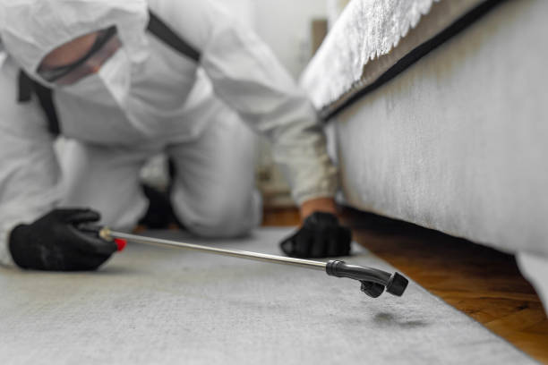 Professional Cockroach Control technician working in Allegan, MI