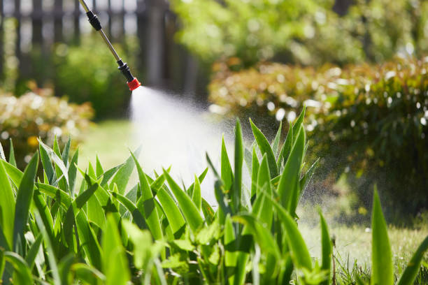 24/7 Emergency Cockroach Control experts in Allegan, MI