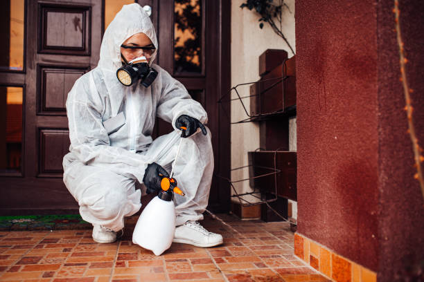 Reliable Cockroach Control contractor in Allegan, MI by Nex Pest Control
