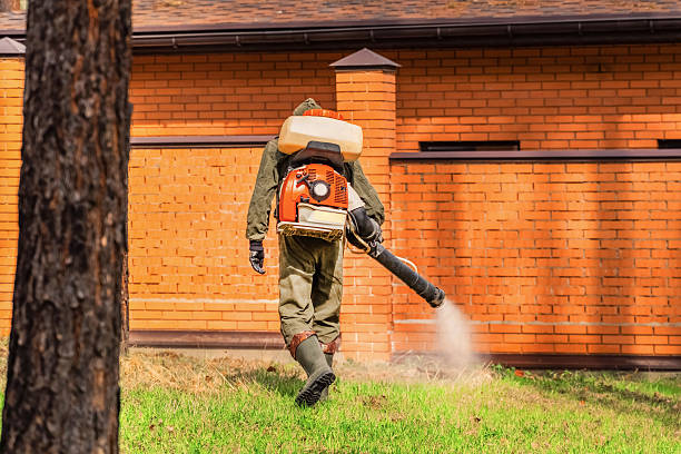 Trusted Bed Bug Control service in Allegan, MI - Nex Pest Control